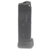 Ruger .380 ACP Magazine